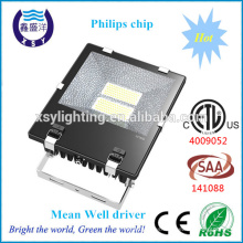 SMD 3030 y Mean Well 150W conductor de calidad llevó la inundación al aire libre